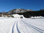Pistes de ski de fond à Grän dans la vallée de Tannheim