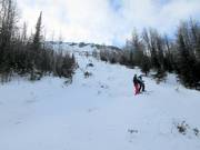 Descentes difficiles dans les Monster Glades