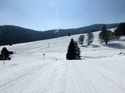 Piste de liaison entre le téléski Mösle et le téléski Schwinbach