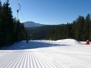 Très bonne préparation des pistes
