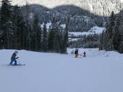 Piste difficile 14 Balbach-Ochsengarten