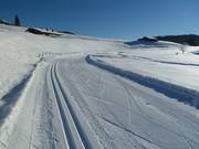 Piste de ski de fond sur la Winklmoos-Alm