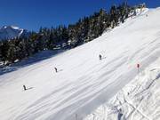 Très bonne préparation des pistes au Penken