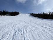 Piste difficile Stora backen à Tandådalen