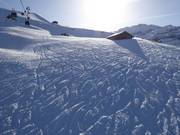 Traces de poudreuse à côté de la piste FIS à Lenk
