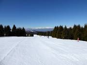 Piste facile Paut-Bus de la Nef n° 23b