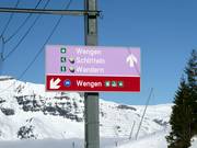 Signalisation des pistes dans le domaine skiable