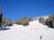 Descentes vers le Sun Peaks Village