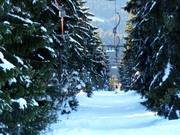 Predigtstuhl II - Herzerllift - Téléski à pioches