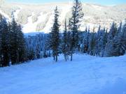 Descente Double Diamond au Mt. Morrisey