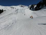 Piste facile au téléski Spycher