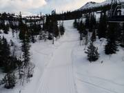 Les pistes de ski de fond traversent directement le domaine skiable.