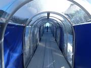 Bunny Express 2 - Tapis roulant/Moving Carpet recouvert d’une galerie