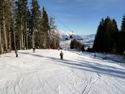 Piste familiale Muttereralm