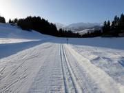 Piste de ski de fond à Obersaxen