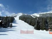 Descente Whiskey Jack