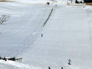 Zone d'entraînement aux téléskis à corde