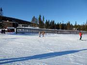 LR1 Rullband Söderåstorget - Tapis roulant/Moving Carpet recouvert d’une galerie