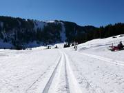 Piste de ski de fond Madilsrunde (Alp Tannenboden)
