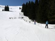 Téléski A exploité séparément à Aleko (non inclus dans le forfait de ski habituel)