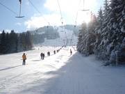 Sorgschrofenlift 1 - Téléski à pioches