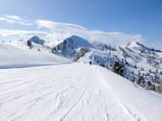 Piste Forcella-Bombasel