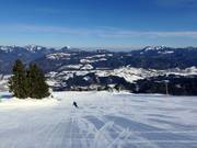 Piste facile au Bärenlift