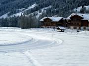 Piste de ski de fond à Lenk