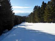 Piste intermédiaire Doladizza