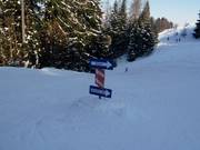 Signalisation des pistes