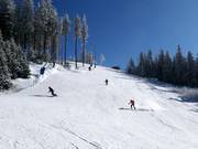 Courte piste noire Aida