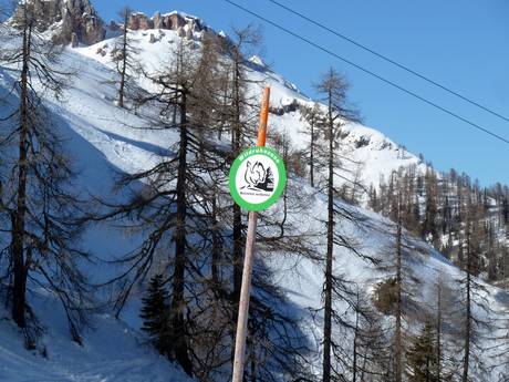 Alpes carniques (Karnischer Hauptkamm): Domaines skiables respectueux de l'environnement – Respect de l'environnement Nassfeld – Hermagor