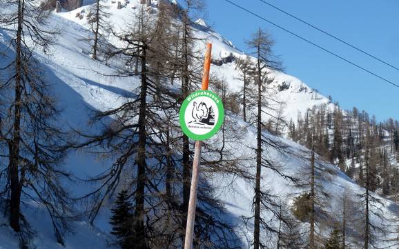 Gailtal (vallée de la Gail): Domaines skiables respectueux de l'environnement – Respect de l'environnement Nassfeld – Hermagor