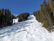Piste à bosses Kapoof au Mount Norquay