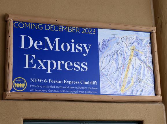 DeMoisy Express