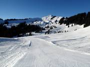 Piste facile Muldenabfahrt