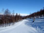 Piste n° 22 Norrstråket