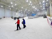 Piste d'entraînement Lil'Dipper avec tapis roulants