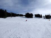 Piste forestière sportive vers Aebi
