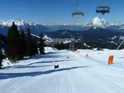 Piste de course Skimovie