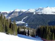 Vue depuis la Rotwand vers le Stiergarten