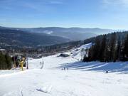 Vue sur la station de vallée dans le domaine skiable Arber