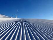 Très bonne préparation des pistes