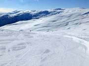 Piste facile Hyrtamyra n° 19