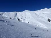 Vue sur les deux pistes difficiles du Braunkogel