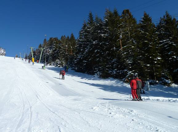 Bühlertallift 1 - Téléski à pioches