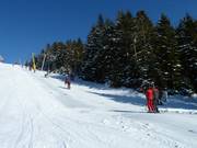 Bühlertallift 1 - Téléski à pioches