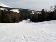 Piste Esicko