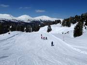 Les enfants profitent des pistes