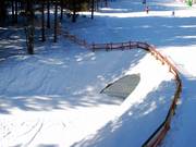 Tunnel de piste de ski de fond sous la pente Schneewittchenhang
